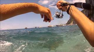 Spin Passion Capri Caranx a Light Rock Fishing [upl. by Nelyak618]