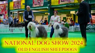 Applejem OES Presents  The Birmingham National Dog Show 10th May 2024 [upl. by Irra280]