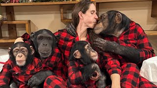 A Very Chimpanzee Christmas [upl. by Aleta]