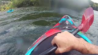 Hiwassee river with Augie and Betsy 8324 [upl. by Elehcir]