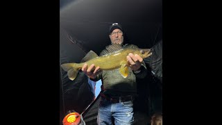 Catch clean and cook Walleye and Burbot Wicked day of fishing [upl. by Bernie]