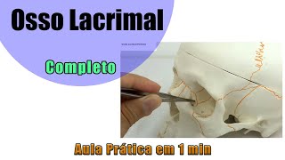 Osso Lacrimal  Prática Aula 2  Anatomia  Anatomia Humana [upl. by Kennett]