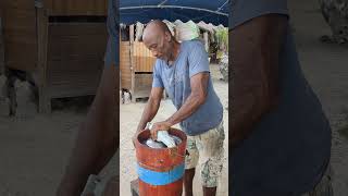 Fabrication du sorbet coco en Guadeloupe [upl. by Sirromal]