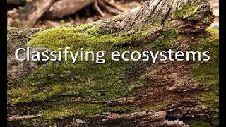 Classifying ecosystems [upl. by Lilllie40]