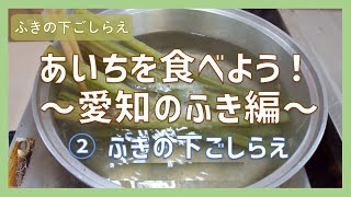 あいちを食べよう！「愛知のふき」②ふきの下ごしらえ／生協（COOP）でおすすめの配達購入可能な商品を深堀り！【コープあいち公式】ほこチャンネル [upl. by Monafo]