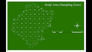 Create Fishnet or Grid Polygons in ArcGIS  Sampling Design for Inventory Study [upl. by Mina631]