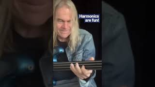 Harmonics are fun 🤩fretlessmonster tonyfranklin bass fretlessbass music fun [upl. by Egwan]