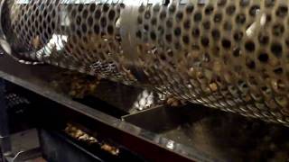 OYSTER SORTING QuickTube Sorter [upl. by Toomay]