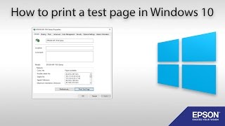 How to Print a Test Page Windows 10 [upl. by Atolrac]