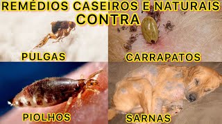 REMÉDIOS CASEIROS E NATURAIS CONTRA PULGAS CARRAPATOS PIOLHOS E SARNA EM CÃES PINSCHER FIIILHOTES [upl. by Engedi]