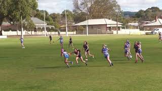 U17 Girls Round 9 Vs Mt Barker 2024 [upl. by Richardo]