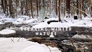 Relaxing winter nature  ASMR  Meditation  White noise  meditation relaxation naturesounds [upl. by Ylenaj]