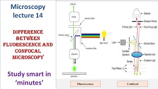 Fluorescence and Confocal microscopy  Differences  Microscopy lecture 14 [upl. by Acinomed]