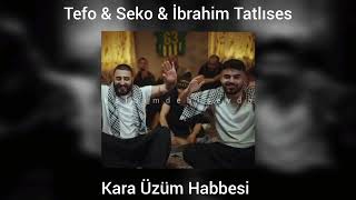 Tefo amp Seko amp İbrahim Tatlıses  Kara Üzüm Habbesi speed up [upl. by Drofdeb192]