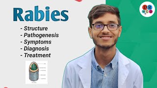 Rabies virus  Management of a dog bite  Community medicine  Microbiology bangla lecture [upl. by Celestia]