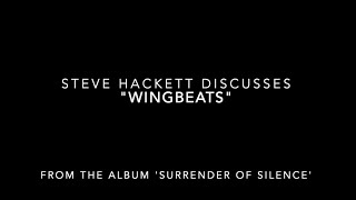 Steve Hackett Track Chat  quotWingbeatsquot from Surrender of Silence [upl. by Etiuqram533]