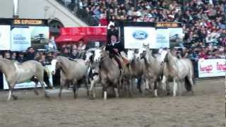 Entrevero de tropillas en La Rural 2012 [upl. by Florence749]