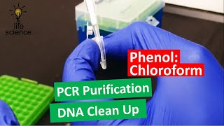 DNA Extraction  Improved PhenolChloroform Method [upl. by Gerlac]