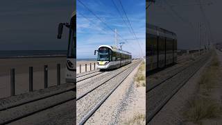 Belgian Coast Trams at Raversijde Provinciedomein 010724 [upl. by Immaj251]