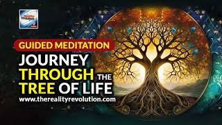 Guided Meditation  Journey Through The Tree Of Life [upl. by Alta718]