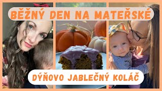 NÁŠ BĚŽNÝ DEN  Dýňovo jablečný koláč amp Nákup jídla vlog [upl. by Nagem]