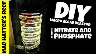 DIY Macro Algae Reactor to Reduce Nitrate and Phosphate [upl. by Jackqueline699]