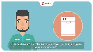 Veolia  comment détecter facilement une fuite deau [upl. by Anitnamaid]