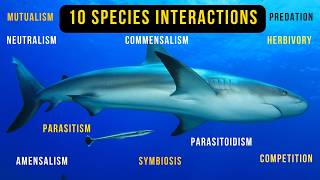 10 Species Interactions in Ecosystem with ExamplesEcology 6 Minutes [upl. by Ezri726]