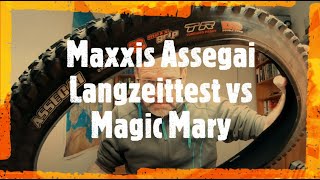 Maxxis Assegai Test vs Magic Mary [upl. by Lletniuq]