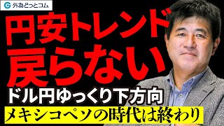 「円安トレンド戻らない。ドル円ゆっくり下方向｜メキシコペソの時代は終わり？」9月の見通し 今井 雅人氏 202495 [upl. by Waterman73]