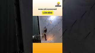 Đoàn xiếc bị nghi ngờ lừa đảo [upl. by Roseanna]