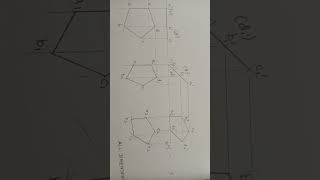 Engineering Graphics Answer Key 2024 [upl. by Noret]