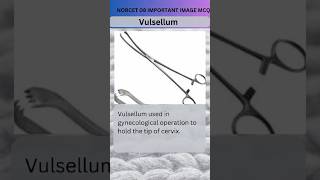 Vulsellum Image Base Question Norcet important mcq 💯ytshorts [upl. by Otto12]