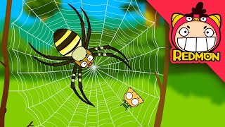 Spiders and flies  Insect world 13  Cartoons for Kids  REDMON [upl. by Arline]