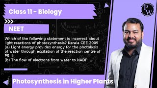 Which of the following statement is incorrect about light reactions of photosynthesis Kerala CEE [upl. by Kcirddehs60]