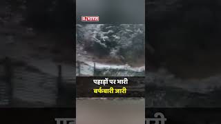 Himachal Weather Update नारकंडा में हुई ताजा बर्फबारी  Snowfall in Narkanda  shorts [upl. by Tav413]