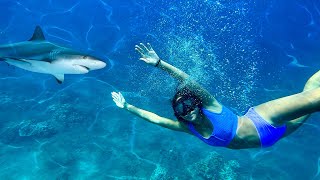 SWiMMiNG WiTH SHARKS LiLEES BiRTHDAY WISH GONE WRONG🦈😱 [upl. by Chapnick725]