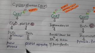 NSAID Pharmacology introduction [upl. by Akerahs]