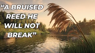 Bible Study Matthew 814 Jesus Heals and Restores an Outcast [upl. by Codi97]