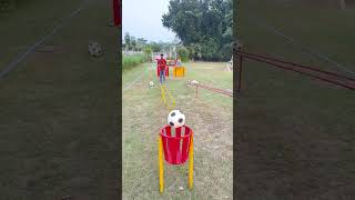 football accuracy and a whole lot of fun [upl. by Balling195]