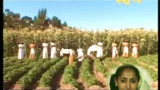 Tigrinya  ትግርኛ  Tigrinya Folklore Of Rainy and Harvest Seasons and Associated Traditions [upl. by Behl]