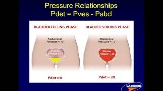 LABORIE Webinar Series Components of Urodynamic Testing [upl. by Vyner]