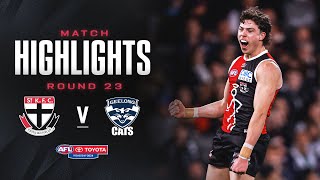 St Kilda v Geelong Highlights  Round 23 2024  AFL [upl. by Adnalue599]