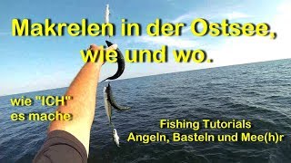 Makrelen in der Ostsee wie und wo vom Boot [upl. by Thrift]