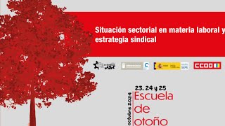 Dia 2 Sesión de Tarde federaciones de CCOO Canarias [upl. by Eittod471]