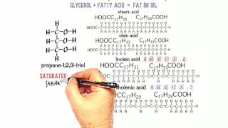 What Is Conjugated Linoleic Acid – Dr Berg [upl. by Suoivatnom596]