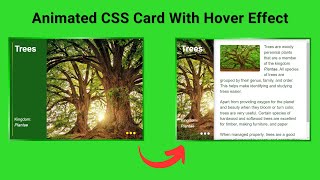 Responsive CSS Cards with Hover Animation  CSS Cards  Web Designing Tutorial [upl. by Arraeis]