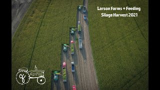 Larson Farms  Feeding Silage Harvest 2021 [upl. by Iolanthe]