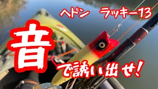 トップウォーター カヤックフィッシングbassfishing 小貝川バス釣りfishing ヘドンラッキー13 [upl. by Ocko]