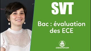 Bac de SVT  les ECE  SVT  Terminale  Les Bons Profs [upl. by Bonni]